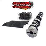 Texas Speed Beehive Spring Cam Package